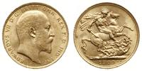 funt 1909, Londyn, złoto "916", 7.98 g, bardzo ł