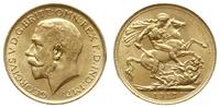 funt 1917 S, Perth, złoto 7.98 g, piękne, Spink 