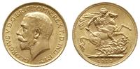 funt 1915, Londyn, złoto 7.97 g, bardzo ładne, S