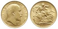funt 1909, Londyn, złoto 7.99 g, Spink 3969