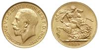 funt 1925/SA, Pretoria, złoto 7.99 g, Spink 4004