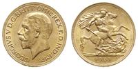 funt 1931/SA, Pretoria, złoto 7.98 g, Spink 4005