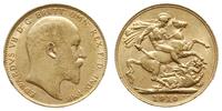 funt 1910, Londyn, złoto 7.97 g, Spink 3969