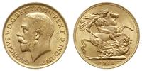 funt 1913, Londyn, złoto 7.99 g, Spink 3996