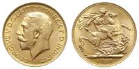 funt 1925, Londyn, złoto 7.98 g, Spink 3996