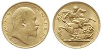 funt 1903, Londyn, złoto 7.98 g, Seaby 3969, Fr.