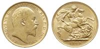 funt 1905, Londyn, złoto 7.99 g, Seaby 3969, Fr.