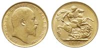 funt 1907/M, Melbourne, złoto 7.98 g, Seaby 3975