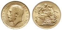 funt 1911, Londyn, złoto 7.99 g, Seaby 3996, Fr.