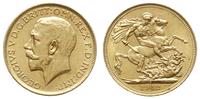 funt 1912/S, Sydney, złoto 7.99 g, Fr. 38, Seaby