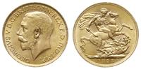 funt 1925/SA, Pretoria, złoto 7.99 g, Fr. 5, Sea