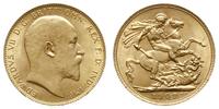 funt 1909, Londyn, złoto 7.99 g, Spink 3969