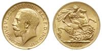 funt 1927/SA, Pretoria, złoto 7.98 g, Spink 4004