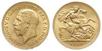 funt 1931/SA, Pretoria, złoto 7.98 g, Spink 4005