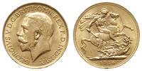 1 funt 1914/P, Perth, złoto 7.99 g, piękny, Fr. 