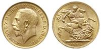 1 funt 1928/SA, Pretoria, złoto 7.99 g, piękny, 