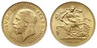 funt  1932/SA, Pretoria, złoto 7.99 g, Seaby 400