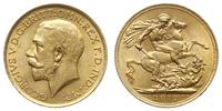 funt  1912, Londyn, złoto 7.99 g, Seaby 3996, Fr