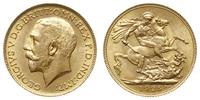 funt  1925, Londyn, złoto 7.99 g, Seaby 3996, Fr