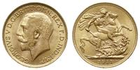 funt 1911, Londyn, złoto 7.99 g, piękne, Seaby 3