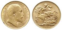 funt 1908/P, Perth, złoto 7.99 g, Seaby 3972