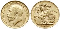 funt 1913, Londyn, złoto 7.99 g, piękny, Seaby 3