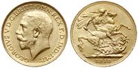 funt 1913, Londyn, złoto 7.99 g, drobne rysy w t