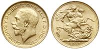 funt 1917 S, Sydney, złoto 7.98 g, piękny, Seaby