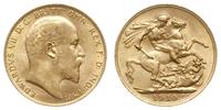 funt 1910, Londyn, złoto 7.96 g, pięknie zachowa