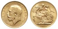 funt 1914 P, Perth, złoto 7.97 g, uderzenia na r