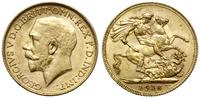 1 funt 1918 I, Bombaj, złoto 7.98 g, Seaby 3998,