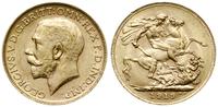 funt 1919 P, Perth, złoto 7.98 g, piękne, Seaby 