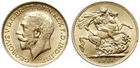 funt 1911, Londyn, złoto 7.98 g, piękny, Seaby 3