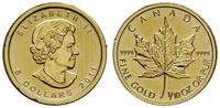 5 dolarów 2011, Liść klonowy, złoto "999.9", 3.1