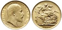 funt 1904 M, Melbourne, złoto 7.98 g, pięknie za