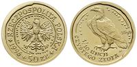 50 złotych 1996, Warszawa, Orzeł Bielik, złoto 1