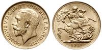 funt 1911 S, Sydney, złoto 7.98 g, Seaby 4003