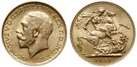 1 funt 1925, Londyn, złoto 7.98 g, pięknie zacho