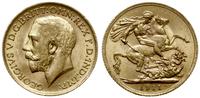 funt 1911, Londyn, złoto 7.99 g, , Seaby 3996, F