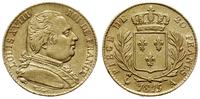 20 franków 1815 A, Paryż, złoto 6.40 g, Fr. 525,