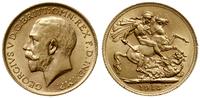 funt 1913, Londyn, złoto 7.98 g, piękne, Seaby 3