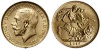 1 funt 1916 S, Sydney, złoto 7.98 g, piękny, Fr.