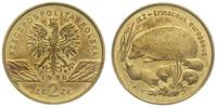 2 złote 1996, Warszawa, Jeż, patyna, Parchim 733