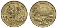 2 złote 1996, Warszawa, Jeż, rzadkie, Parchimowi