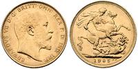 1 funt 1905, Melbourne, złoto 7.98g