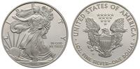 1 dolar 2008, Statua Wolności, 1 uncja srebra "9
