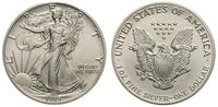 1 dolar 1989, Walking Liberty, srebro 31.41 g "9