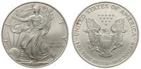 1 dolar 1999, Walking Liberty, srebro 31.30 g "9