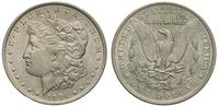 1 dolar 1904/O, Nowy Orlean