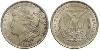 1 dolar 1921, Filadelfia, patyna